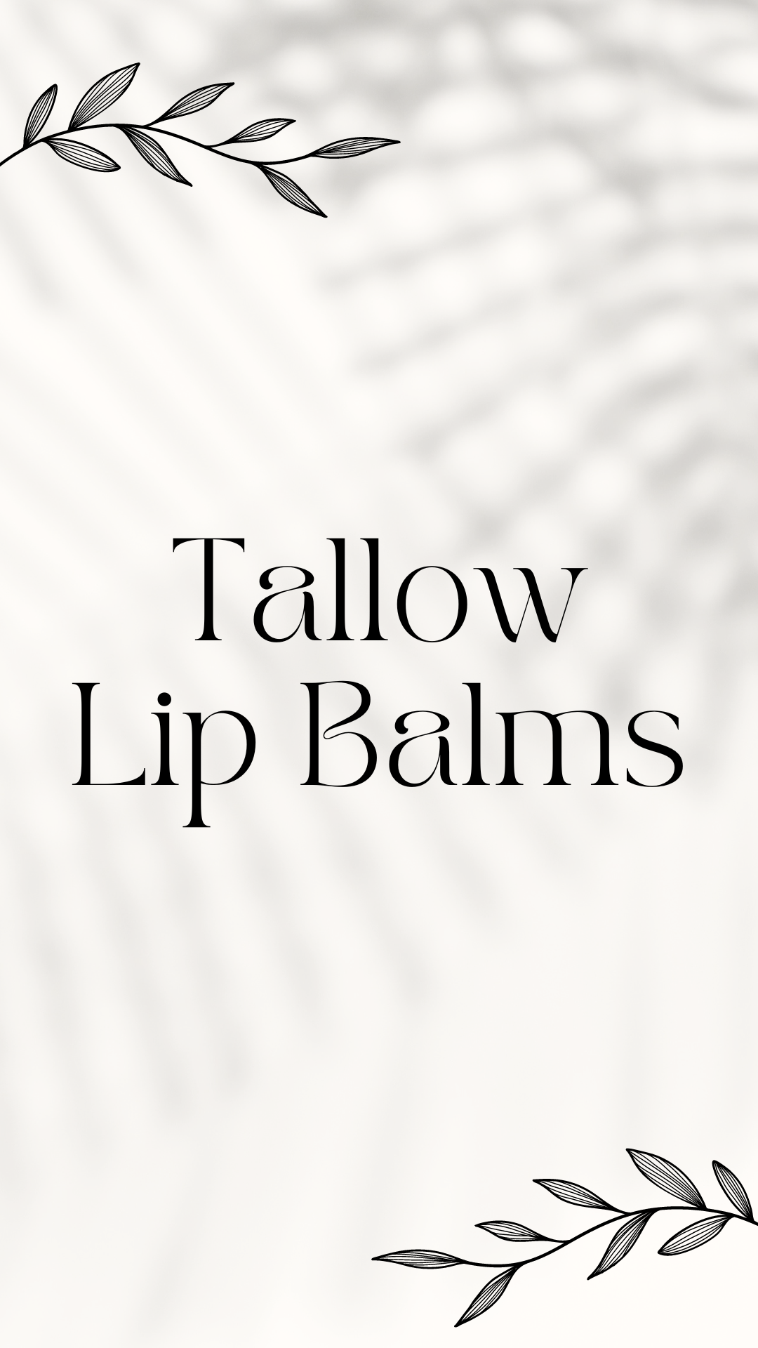 Tallow Lip Balms